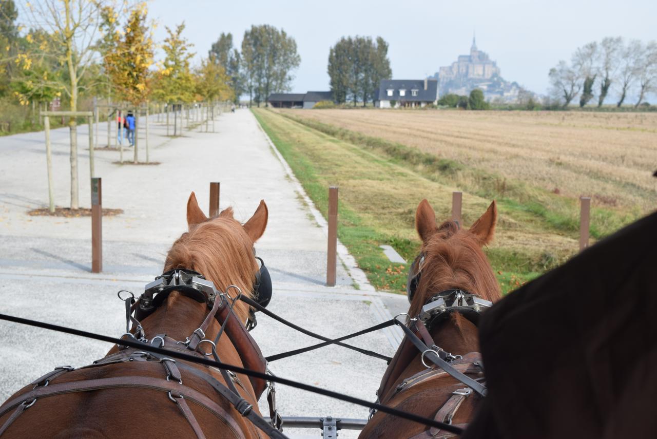 Visite du Mont St-Michel en France - Le 09 au 11-10-2015